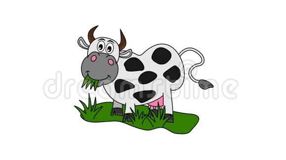 奶牛在草地上吃草视频的预览图