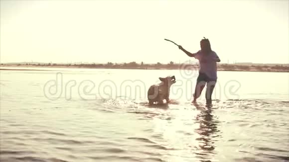 快乐和无忧无虑的童年儿童玩狗沿沙跑笑在河上玩推出玩具视频的预览图
