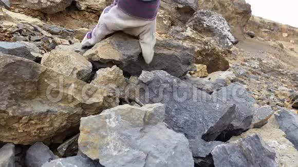 古生物文摘化石挖掘与提取视频的预览图