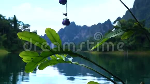 湖上美景背景上的山脉视频的预览图