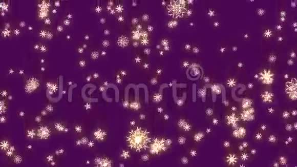 圣诞节和新年动画紫色背景下的金色圣诞雪花大片雪花飘落视频的预览图
