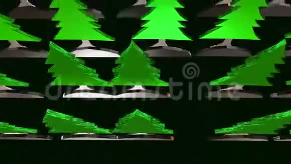 杉树绿林视频的预览图