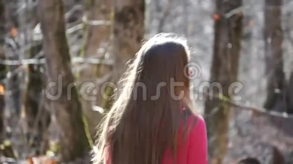 远足的女人在森林里徒步旅行视频的预览图