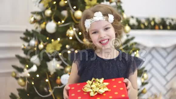 优雅的圣诞树装饰着闪闪发光的玻璃球和仙女灯视频的预览图