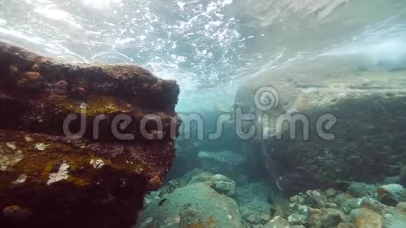 珊瑚礁生态系统水下景观视频的预览图