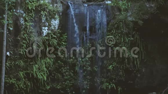 坦博林国家公园的柯蒂斯瀑布视频的预览图