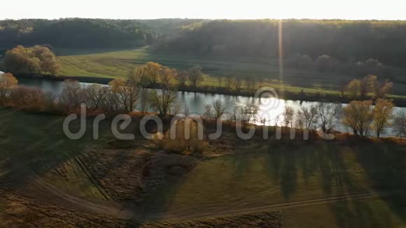 阳光明媚的秋日在自然公园空中拍摄视频的预览图