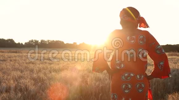 非洲女农民穿着传统服装站在日落或日出的庄稼地里视频的预览图