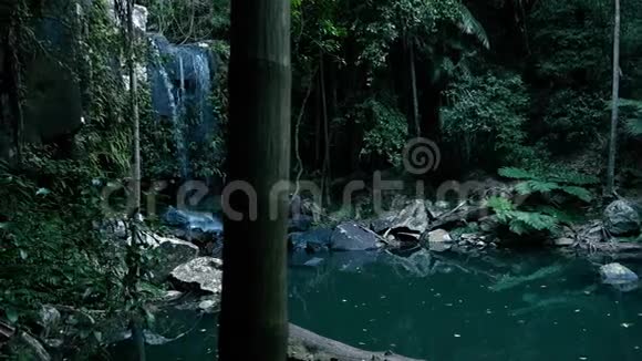 坦博林国家公园的柯蒂斯瀑布瀑布视频的预览图