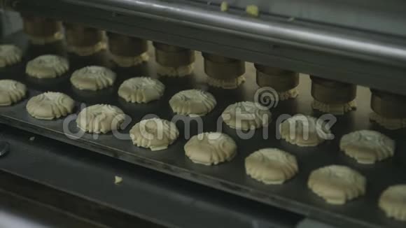 饼干制作工艺工业面团工厂输送机视频的预览图