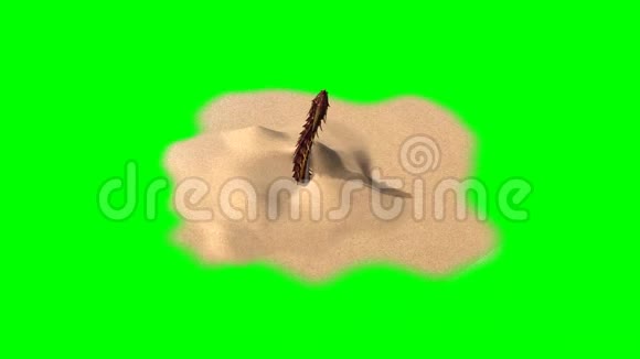 龙虫出现并消失在沙丘绿屏视频的预览图