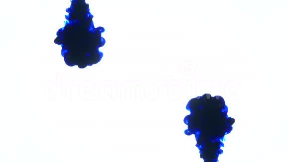 水中的蓝墨水创意慢动作在白色背景下视频的预览图