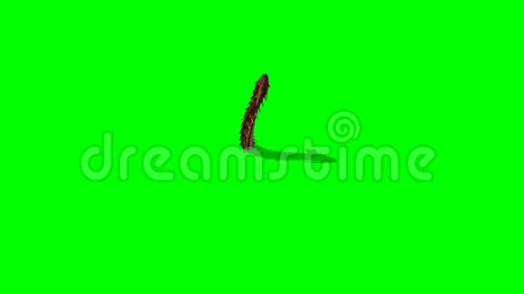 龙虫出现了消失了绿屏视频的预览图