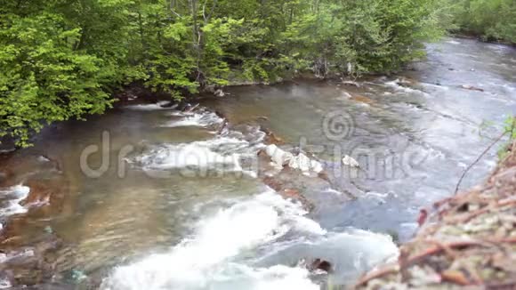 山河在绿林中流过优美的自然景观视频的预览图