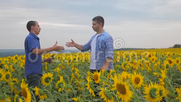 两个农民男子商务智能手机探索步行检查向日葵作物田间慢生活方式运动视频视频的预览图