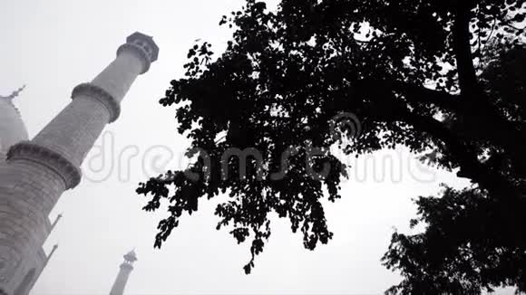 印度北方邦阿格拉泰姬陵潘射视频的预览图