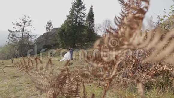 公园里有新娘新婚夫妇相爱的幸福家庭视频的预览图