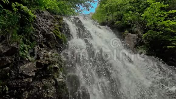 森林里的瀑布视频的预览图