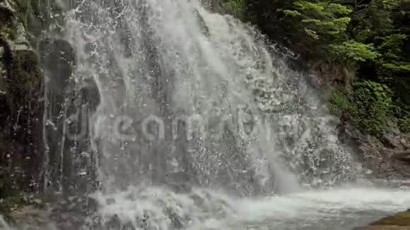 森林里的瀑布视频的预览图
