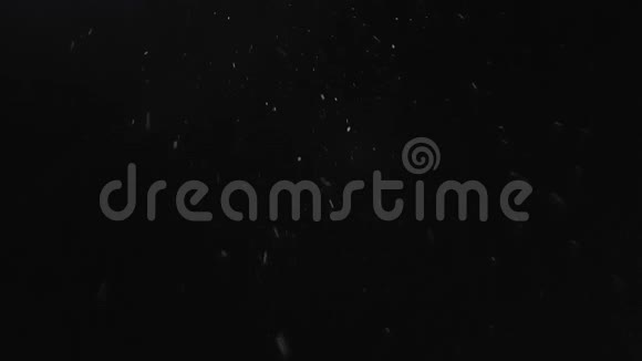 雪在夜间冬天慢慢落下视频的预览图