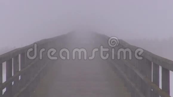 冬湖空木桥和晨雾视频的预览图