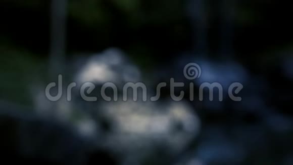 坦博林国家公园的柯蒂斯瀑布瀑布视频的预览图