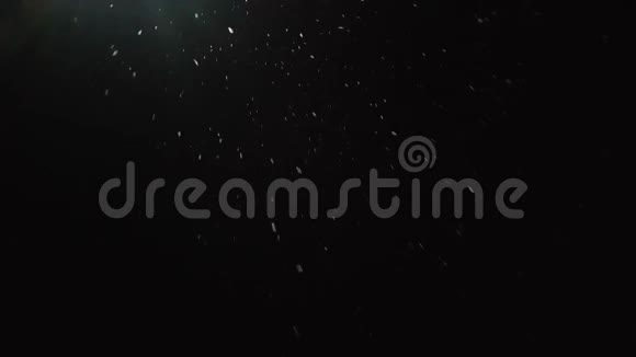 雪在夜间冬天慢慢落下视频的预览图