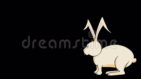 兔子霍普斯Animated透明视频的预览图