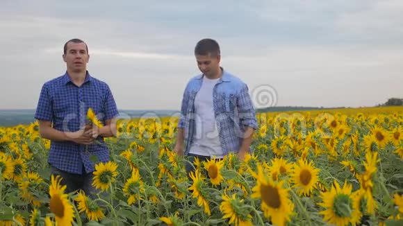 两个农民男子商务智能手机探索步行检查作物向日葵田间生活方式慢动作视频视频的预览图