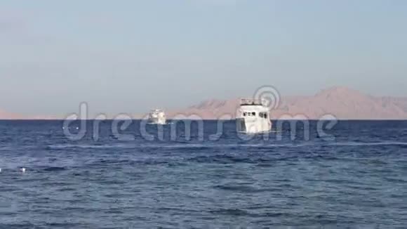埃及鲨鱼湾沙姆沙伊赫许多漂亮的白色游艇视频的预览图
