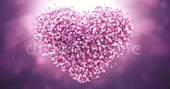 粉红玫瑰樱花花瓣在可爱的心形背景循环4k视频的预览图