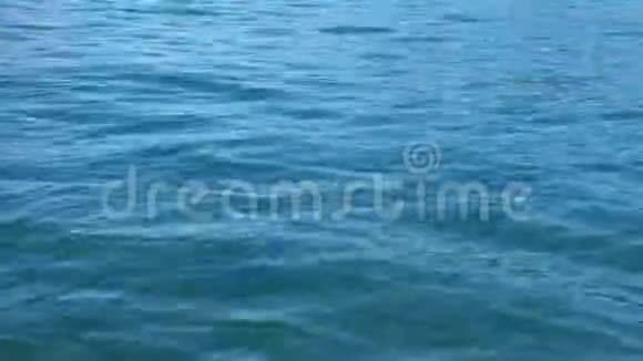 蓝海水面视频的预览图