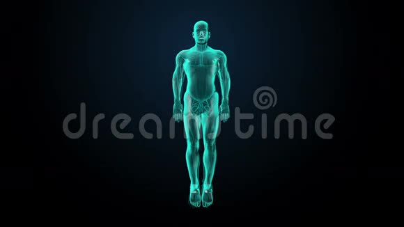 人的内脏消化系统蓝色X光灯前面的风景视频的预览图