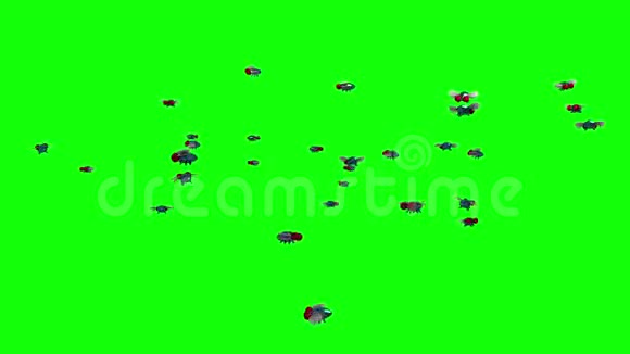 一群苍蝇卡通风格的3D动画绿色屏幕可循环视频的预览图