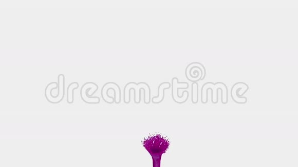 紫色液体龙卷风漂亮的彩色颜料旋转孤立透明的液体旋涡如旋风三维动画视频的预览图