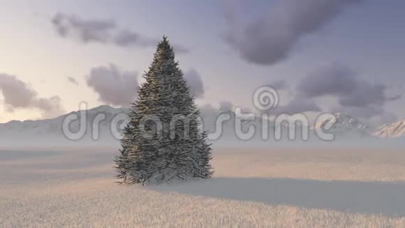树在山的背景上视频的预览图