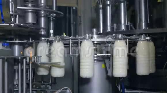 奶厂牛奶瓶在工业传送带上移动视频的预览图