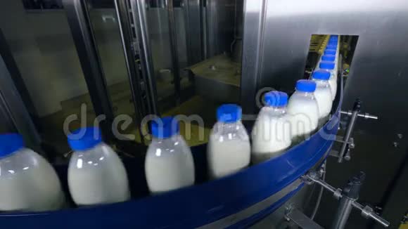 奶厂牛奶瓶在工业传送带上移动视频的预览图