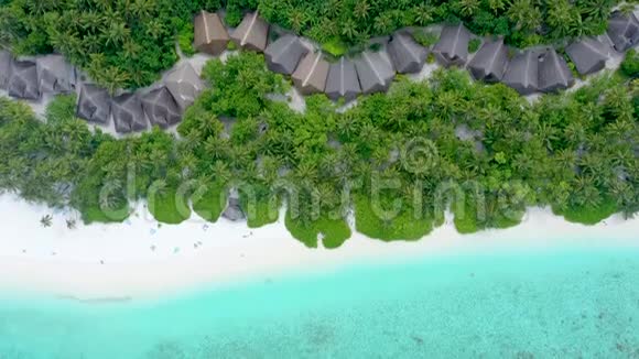 空中俯视图与无人机热带异国海岛天堂视频的预览图