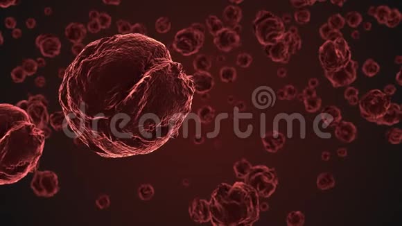 显微镜下提取红病毒细胞视频的预览图