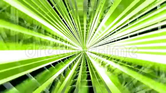 运动在三维绿色隧道内在终点出口视频的预览图