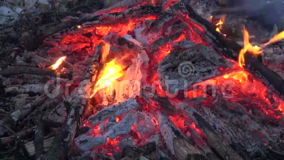 篝火篝火篝火抽象背景视频的预览图