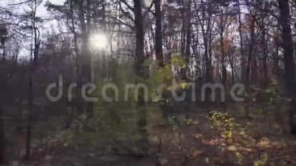 秋天的森林景观从一辆移动的汽车或火车的窗口视频的预览图