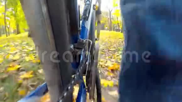 骑自行车骑在秋叶上视频的预览图