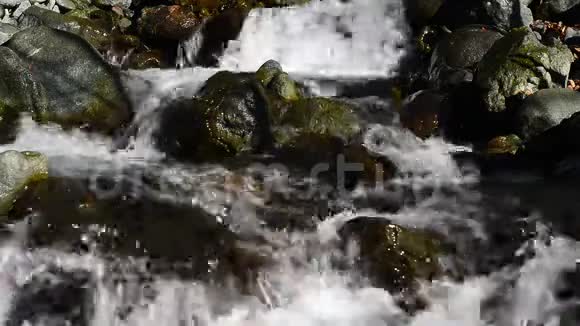 山溪水波荡漾视频的预览图