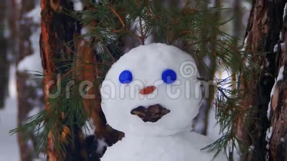 白雪覆盖的圣诞树矗立在松林中的雪人的脸视频的预览图