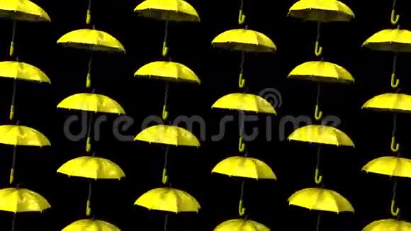 黄色雨伞视频的预览图