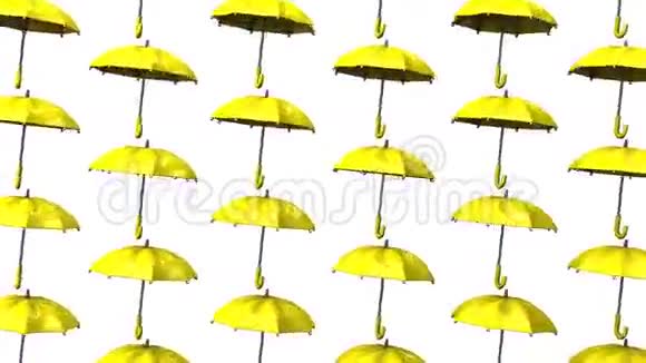 黄色雨伞视频的预览图