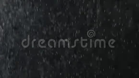 黑色背景下的雨或雪视频的预览图