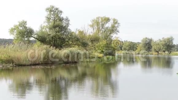 哈维尔河船在驾驶经过典型的景观与草地和柳树尝试哈维尔兰地区德国视频的预览图